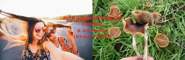 амф Абдулино