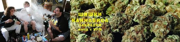 прущие крисы Абаза